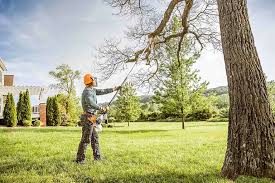 Trusted New London, OH Tree Services Experts