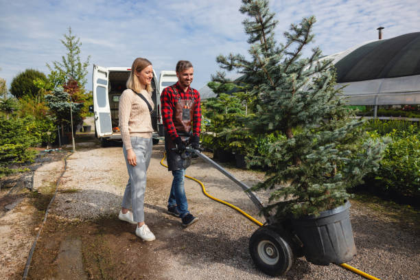 Best Commercial Tree Services  in New London, OH